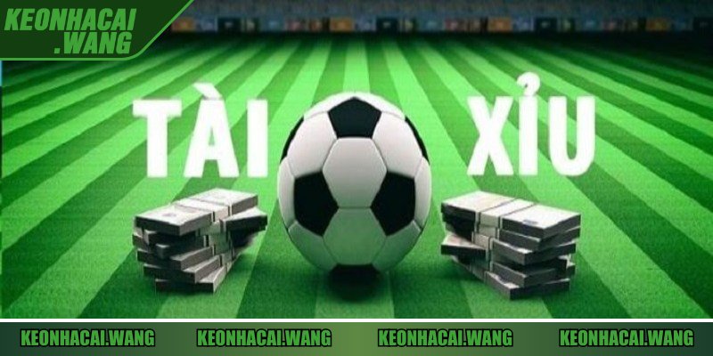 Tìm hiểu khái niệm biến động tài xỉu cho game thủ