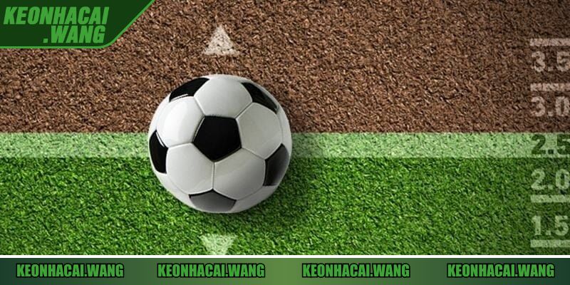 Theo dõi biến động giúp người chơi tránh được bẫy và chọn được cửa cược tối ưu