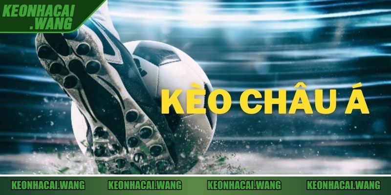 Sức mạnh Fulham là điểm tựa quan trọng khi phân tích kèo châu Á trận Fulham