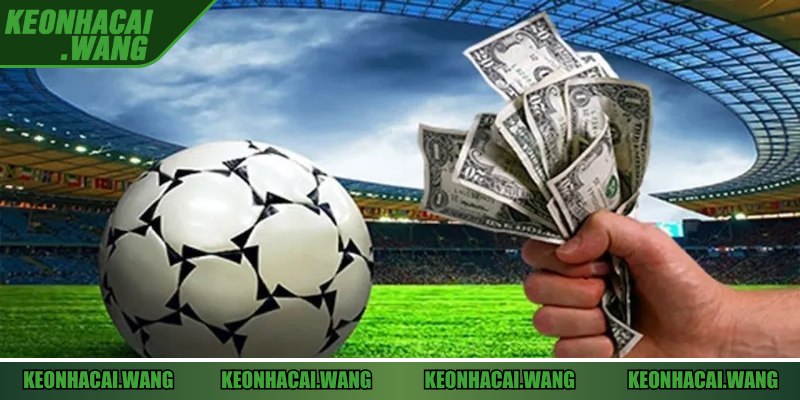 Nắm được mẹo đọc kèo Tài Xỉu cho người mới sẽ dễ đặt cược hơn