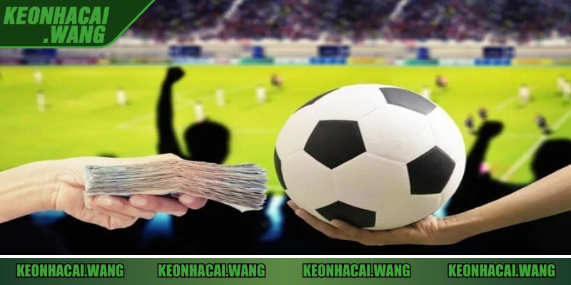 Theo dõi lịch sử đối đầu để đưa ra sự lựa chọn chính xác